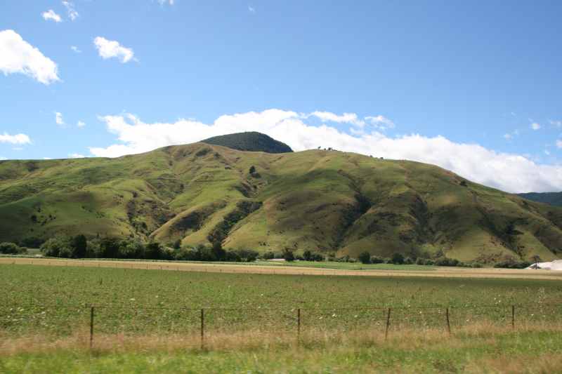 Nieuw-Zeeland 2011 - 1064